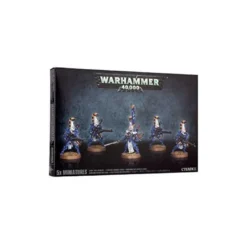 Aeldari Dire Avengers (5)