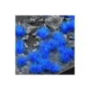 Alien Blue 6mm Wild