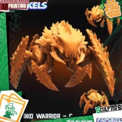 Arachminid Warrior C