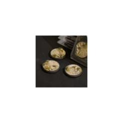 Arid Steppe Bases Round Lip 50mm (x3)