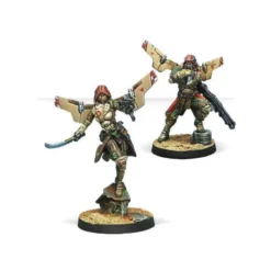 Bashi Bazouks