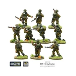 BEF Infantry Section