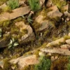 Dark Moss 2mm