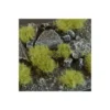 Dense Green 6mm Wild