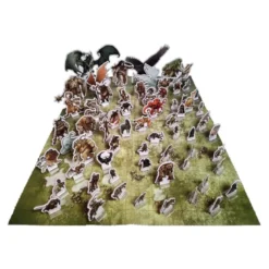 Dragonbane: Peones del Bestiario + Mapa