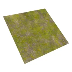 Hierba Rocosa - 120x120