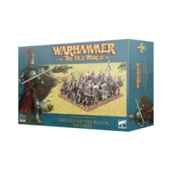 Kingdom Of Bretonnia: Knights Of The Realm On Foot (20)
