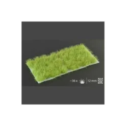 Light Green XL 12mm Wild