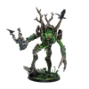 Moss Hermit