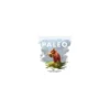 Paleo
