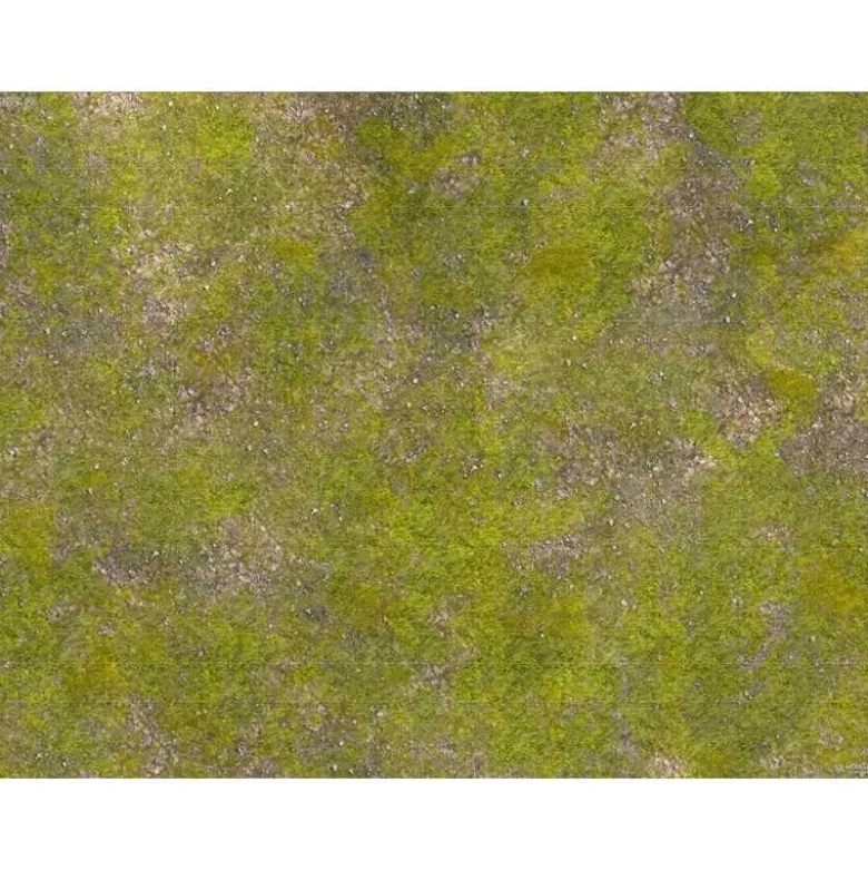 Saga Hierba Rocosa Tournament Ready - 120x90
