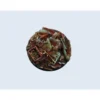 Scrapyard Bases - Round 60mm (1)