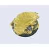 Shale Bases - Wround 50mm (1)