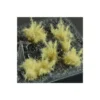Spikey Beige Wild 12mm