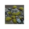 Swamp 4mm Wild