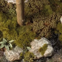 Swamp Shrubs