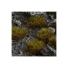 Swamp XL 8mm Wild