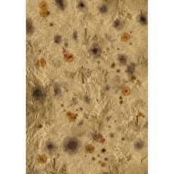 Tapete - Campo Batalla - 180x120cm