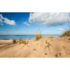 Terrains Beach Sand - 250ml (Acrylic)
