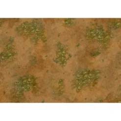 Tierra Árida - 120x120