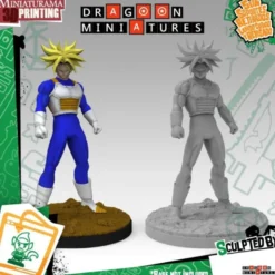 Trunks Training Ss