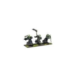 Undead Wights Regiment (3)