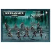Wyches - Drukhari